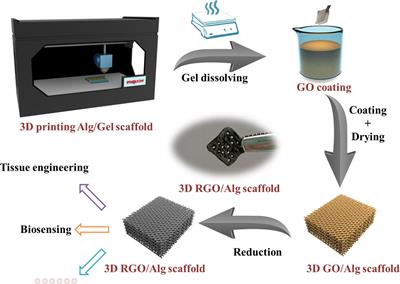 3D Printing of Cytocompatible Graphene/Alginate Scaffolds for Mimetic Tissue Constructs